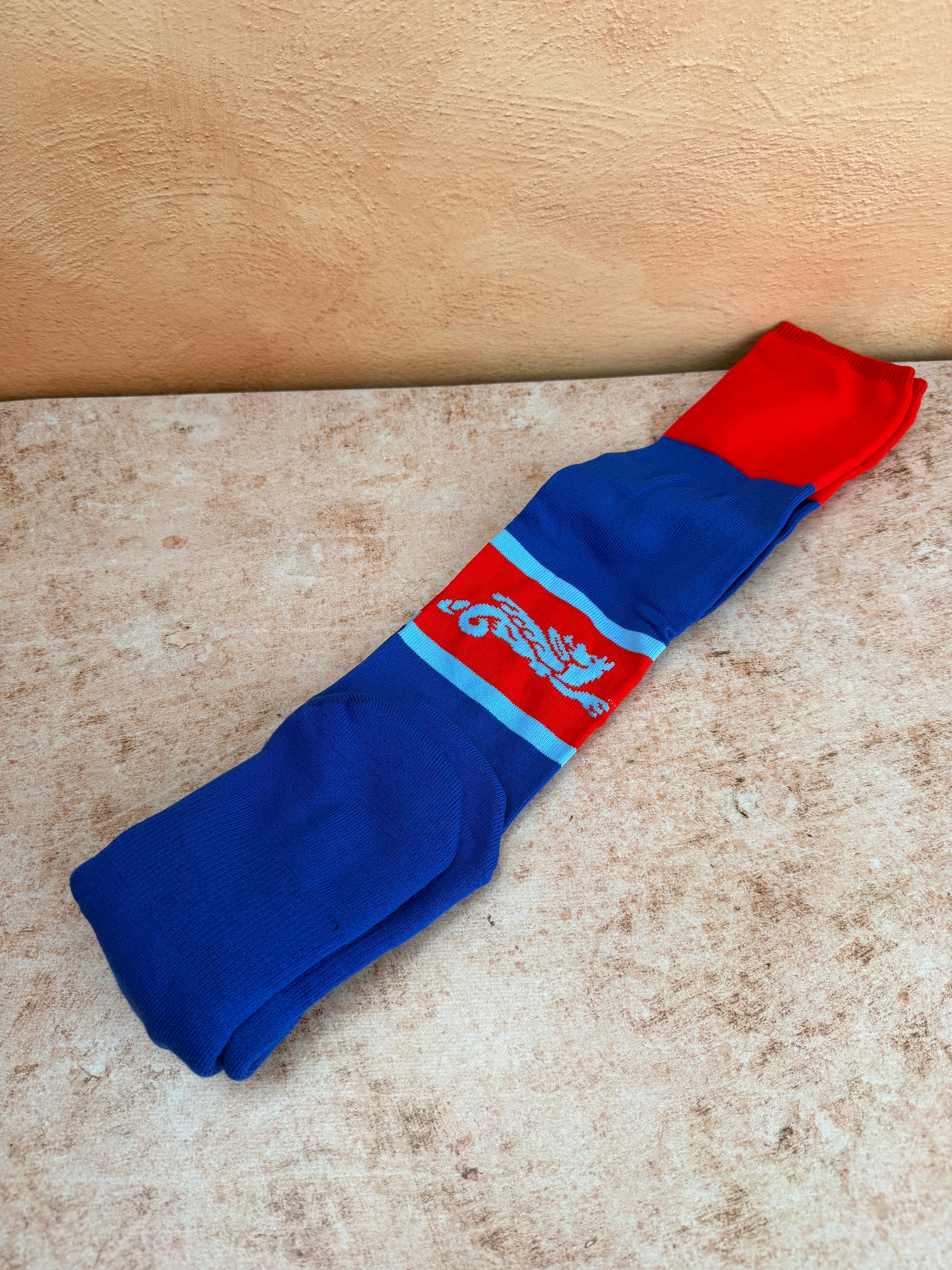 Engadine Dragons Socks